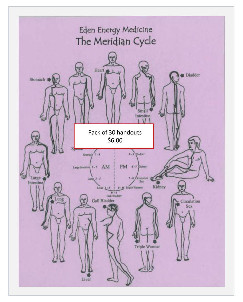 Meridian Cycle Handout (Pack of 30)