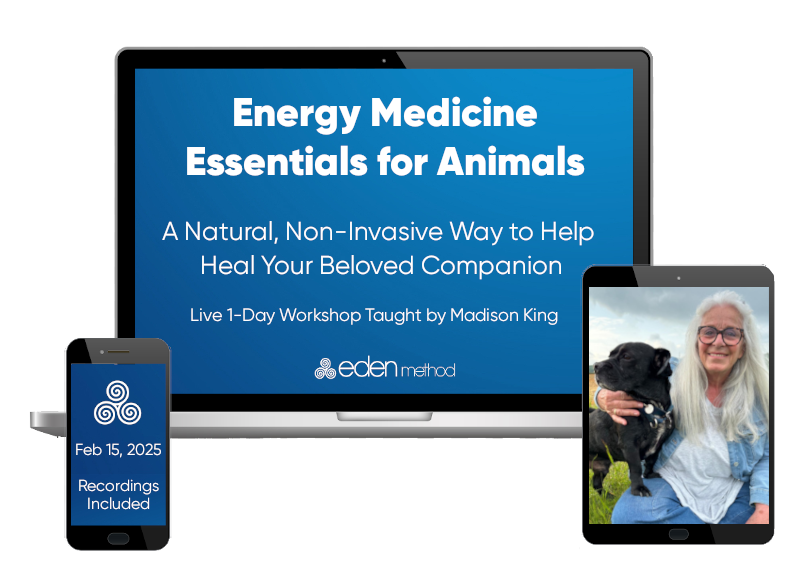 Energy Medicine Essentials for Animals (LIVE Workshop)