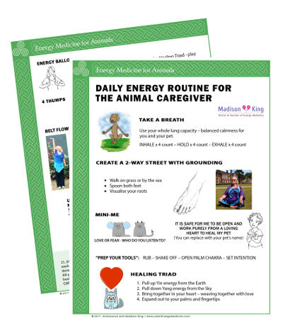 Daily Energy Routine for the Animal Caregiver - Laminated Chart