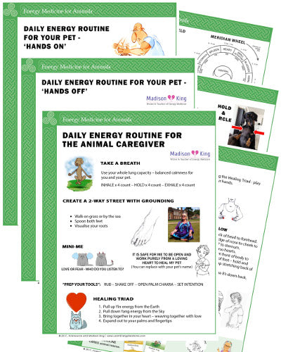 Daily Energy Routine for Animals - 3 Pack (Hands Off, Hands On, and Caregiver)