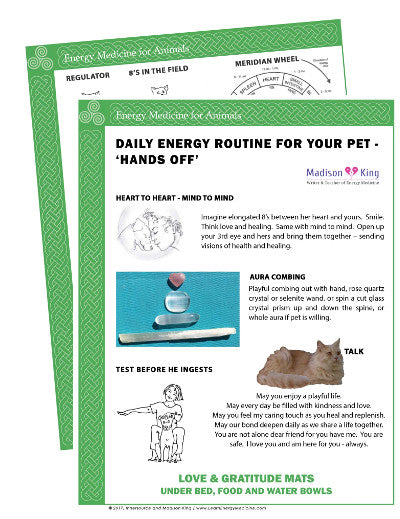 Energy Medicine for Animals - Hands Off Daily Energy Routine